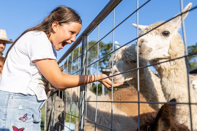 Trevena Glen Farm Animal Experience - Trevena Glen Farm: Why This One-Hour Farm Stop Works