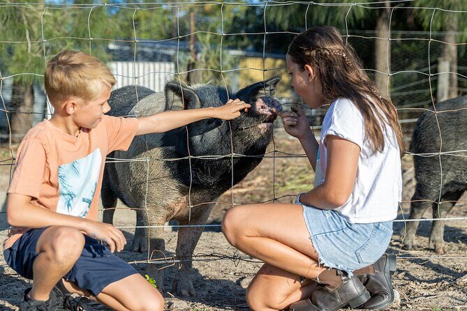Trevena Glen Farm Animal Experience - What You Do During the Animal Experience (And What You’ll See)