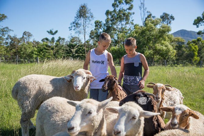 Trevena Glen Farm Animal Experience - Price and Value: Is $17.93 Worth It?