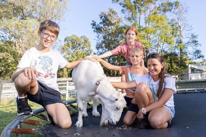 Trevena Glen Farm Animal Experience - Timing, Group Size, and Practical Logistics (So You Don’t Waste Time)