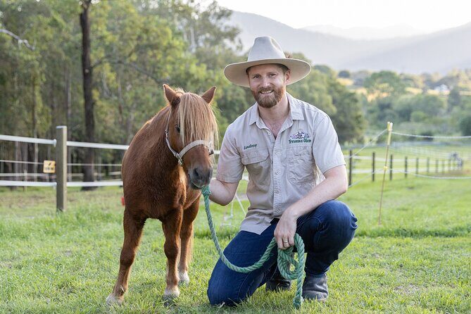 Trevena Glen Farm Animal Experience - Small Add-Ons to Consider if Your Family Loves Horses