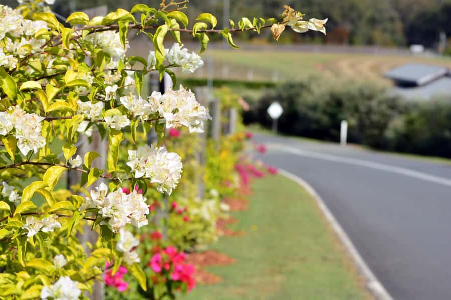 Winery Tour and Tasting - The 45-Minute Guided Winery Tour: Learning Without the Snobbery