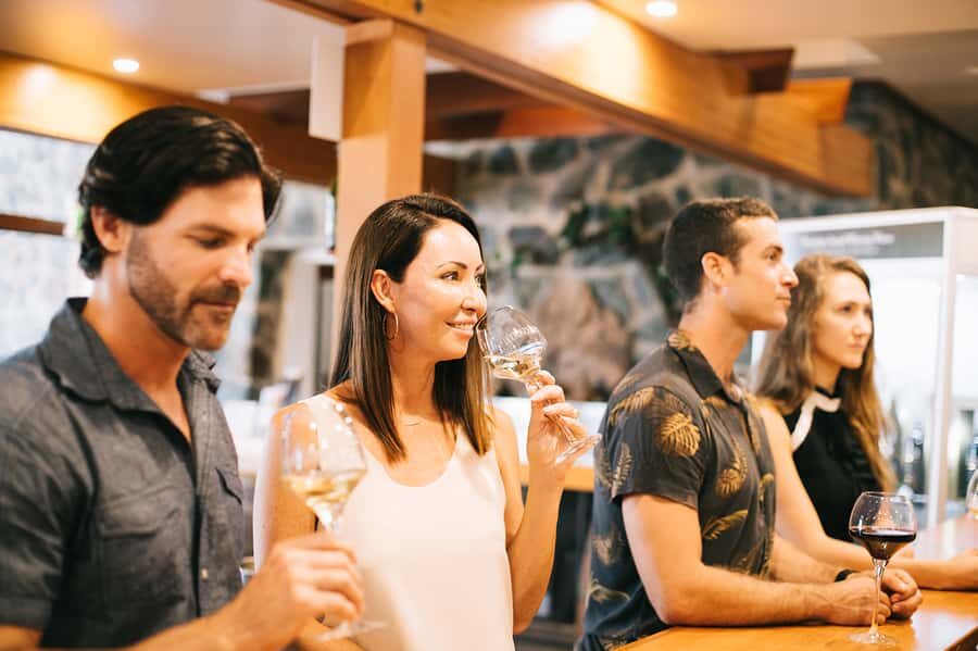 Winery Tour and Tasting - 90 Minutes for $24: Why This Feels Like Solid Value
